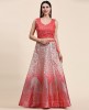 Fancy Heavy Organza Fabric with Elegant Real Mirror & Codding work Lehenga